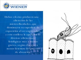 Parasitologia basica