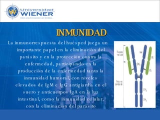 Parasitologia basica