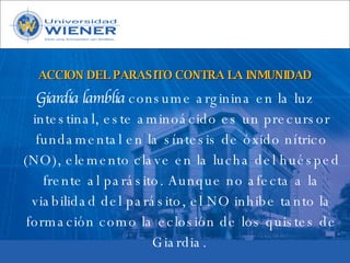 Parasitologia basica