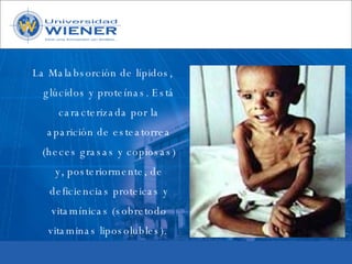 Parasitologia basica