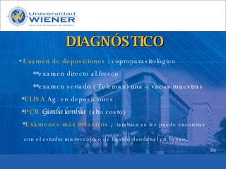 Parasitologia basica