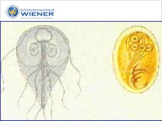 Parasitologia basica
