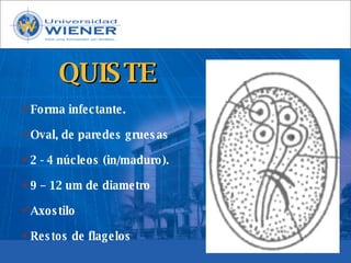 Parasitologia basica