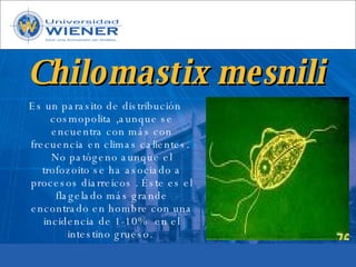 Parasitologia basica