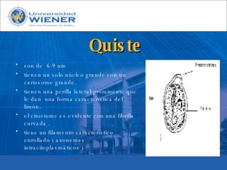 Parasitologia basica