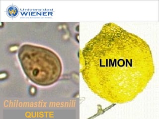 Parasitologia basica