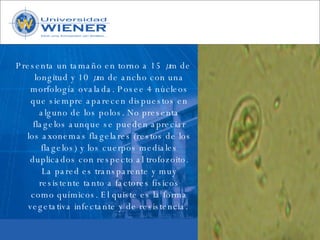 Parasitologia basica