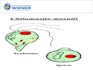 Parasitologia basica