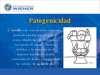 Parasitologia basica