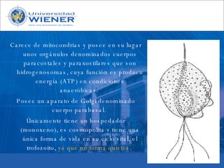 Parasitologia basica