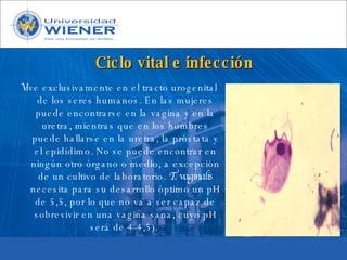 Parasitologia basica