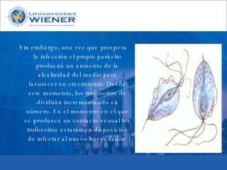 Parasitologia basica