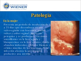 Parasitologia basica