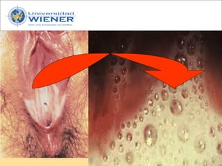 Parasitologia basica