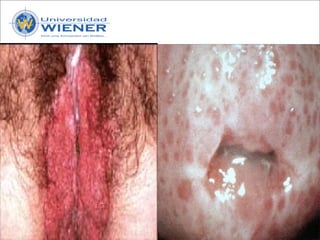 Parasitologia basica