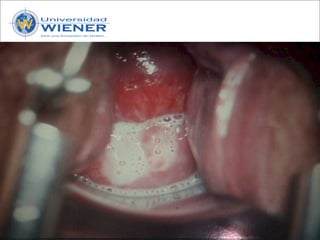 Parasitologia basica