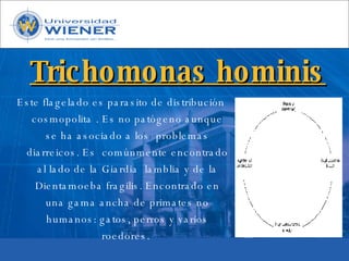 Parasitologia basica