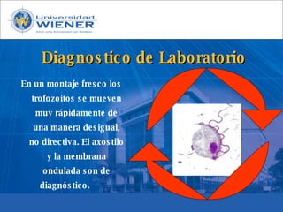 Parasitologia basica