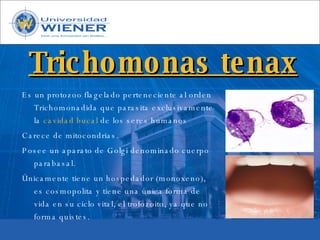 Parasitologia basica