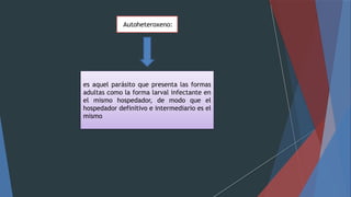 Autoheteroxeno:
es aquel parásito que presenta las formas
adultas como la forma larval infectante en
el mismo hospedador, de modo que el
hospedador definitivo e intermediario es el
mismo
 