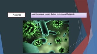 Patógenos organismos que causan daño o enferman al huésped.
 