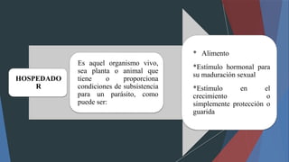 HOSPEDADO
R
Es aquel organismo vivo,
sea planta o animal que
tiene o proporciona
condiciones de subsistencia
para un parásito, como
puede ser:
* Alimento
*Estímulo hormonal para
su maduración sexual
*Estímulo en el
crecimiento o
simplemente protección o
guarida
 