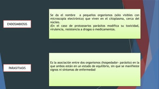 ENDOSIMBIOSIS
Se da el nombre a pequeños organismos (sólo visibles con
microscopía electrónica) que viven en el citoplasma, cerca del
núcleo.
(En el caso de protozoarios parásitos modifica su toxicidad,
virulencia, resistencia a drogas o medicamentos.
PARASITIASIS
Es la asociación entre dos organismos (hospedador‐ parásito) en la
que ambos están en un estado de equilibrio, sin que se manifieste
signos ni síntomas de enfermedad
 