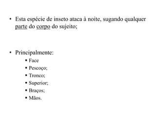 • Esta espécie de inseto ataca à noite, sugando qualquer
parte do corpo do sujeito;
• Principalmente:
 Face
 Pescoço;
 Tronco;
 Superior;
 Braços;
 Mãos.
 