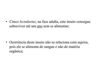 • Cimex lectularius, na fase adulta, este inseto consegue
sobreviver até um ano sem se alimentar;
• Ocorrência deste inseto não se relaciona com sujeira,
pois ele se alimenta de sangue e não de matéria
orgânica;
 