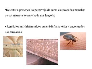 •Detectar a presença do percevejo de cama é através das manchas
de cor marrom avermelhada nos lençóis;
• Remédios anti-histamínicos ou anti-inflamatórios - encontrados
nas farmácias.
 
