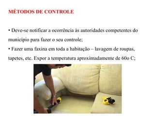 MÉTODOS DE CONTROLE
• Deve-se notificar a ocorrência às autoridades competentes do
município para fazer o seu controle;
• Fazer uma faxina em toda a habitação – lavagem de roupas,
tapetes, etc. Expor a temperatura aproximadamente de 60o C;
 