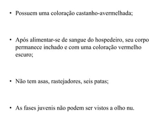 • Possuem uma coloração castanho-avermelhada;
• Após alimentar-se de sangue do hospedeiro, seu corpo
permanece inchado e com uma coloração vermelho
escuro;
• Não tem asas, rastejadores, seis patas;
• As fases juvenis não podem ser vistos a olho nu.
 