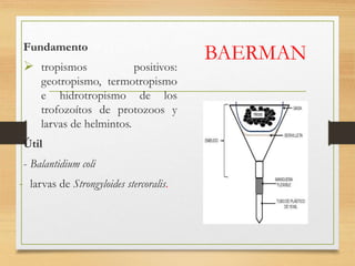 Parasitologia - trematodos.pptx