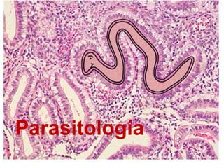 Parasitología
 