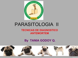 PARASITOLOGIA II
TECNICAS DE DIAGNOSTICO
ANTEMORTEM

By TANIA GODOY Q.

 