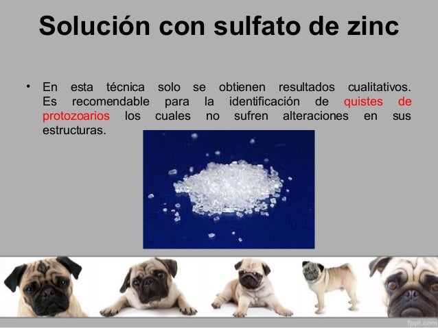 El análisis kala a los huevos de los helmintos donde dar