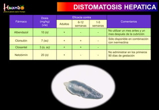 Fármaco
Dosis
(mg/kg)
(vía)
Eficacia contra
Comentarios
Adultos
6-12
semanas
1-5
semanas
Albendazol 10 (o) + - -
No utilizar un mes antes y un
mes después de la cubrición
Clorsulón 7 (sc) + + -
Sólo disponible en combinación
con ivermectina
Closantel 3 (o, sc) + + -
Netobimín 20 (o) + - -
No administrar en los primeros
90 días de gestación
DISTOMATOSIS HEPATICA
 