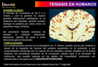 CUADRO CLINICO
El período de incubación es de 2 a 3
meses, y por lo general no causan
grandes alteraciones patológicas en la
anatomía del afectado, quienes pueden
albergar el parásito por varios años sin
presentar ningún síntoma.
Se consideran también síntomas de
teniosis el malestar abdominal,
flatulencia, pérdida de peso y otras
afecciones gastrointestinales
COMPLICACIONES
Las complicaciones ocurren en la infestación por T. solium, cuando, por la ruta orofecal a
través de la ingestión de huevos del parásito esparcidos en el ambiente, o por
autoinfestación producida por la ruptura de los parásitos adultos alojados en el propio
intestino, las oncosferas penetran en la circulación, dando lugar a la formación de
cisticercos, que pueden alojarse en los tejidos del hospedador, originando una
cisticercosis y mas grave aun la NEUROCISTICERCOSIS.
Este fenómeno no se observa en las infestaciones con T. saginata.
TENIASIS EN HUMANOS
 