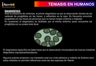 TENIASIS EN HUMANOS
DIAGNOSTICO
Ante la presencia de síntomas, el primer diagnóstico es por la observación directa de las
cadenas de proglótidos en las heces, o adheridos en la ropa. Es frecuente encontrar
proglótidos en las heces de personas que no tienen ningún síntoma o malestar.
En ocasiones el diagnóstico es facilitado por el mismo enfermo quien encuentra las
proglótidos en su propio bolo fecal.
El diagnóstico específico se debe hacer por la observación microscópica de huevos mediante
diagnóstico coproparasitoscópicos.
Algunos autores proponen una impresión anal con cinta adhesiva o método de Graham pero
estos métodos no permiten diferenciar entre las dos especies de Taenia
 