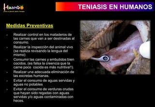 Medidas Preventivas
 Realizar control en los mataderos de
las carnes que van a ser destinadas al
consumo.
 Realizar la inspección del animal vivo
(se realiza revisando la lengua del
mismo)
 Consumir las carnes y embutidos bien
cocidos. (es falsa la creencia que la
carne poco cocida es más nutritiva!!).
 Realizar una adecuada eliminación de
las excretas humanas.
 Evitar el consumo de aguas servidas y
aguas no potables
 Evitar el consumo de verduras crudas
que hayan sido regadas con aguas
servidas y/o aguas contaminadas con
heces.
TENIASIS EN HUMANOS
 