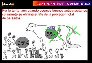 GASTROENTERITIS VERMINOSA
 