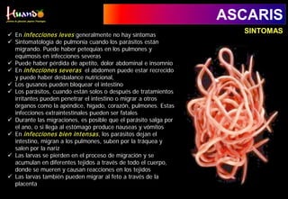 ASCARIS
 En infecciones leves generalmente no hay síntomas
 Sintomatología de pulmonía cuando los parásitos están
migrando. Puede haber petequias en los pulmones y
equimosis en infecciones severas
 Puede haber pérdida de apetito, dolor abdominal e insomnio
 En infecciones severas el abdomen puede estar recrecido
y puede haber desbalance nutricional,
 Los gusanos pueden bloquear el intestino
 Los parásitos, cuando están solos o después de tratamientos
irritantes pueden penetrar el intestino o migrar a otros
órganos como la apéndice, hígado, corazón, pulmones. Estas
infecciones extraintestinales pueden ser fatales
 Durante las migraciones, es posible que el parásito salga por
el ano, o si llega al estómago produce nauseas y vómitos
 En infecciones bien intensas, los parásitos dejan el
intestino, migran a los pulmones, suben por la tráquea y
salen por la nariz
 Las larvas se pierden en el proceso de migración y se
acumulan en diferentes tejidos a través de todo el cuerpo,
donde se mueren y causan reacciones en los tejidos
 Las larvas también pueden migrar al feto a través de la
placenta
SINTOMAS
 
