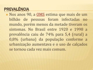 PREVALÊNCIA
 Nos anos 90, a OMS estima que mais de um
bilhão de pessoas foram infectadas no
mundo, porém menos da metade tiveram os
sintomas. No Brasil entre 1920 e 1998 a
prevalência caiu de 74% para 5,4 (rural) a
0,8% (urbana) da população conforme a
urbanização aumentava e o uso de calçados
se tornou cada vez mais comum.
 