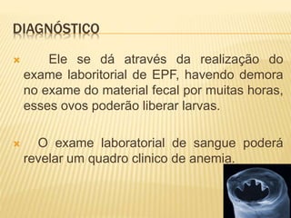 DIAGNÓSTICO
 Ele se dá através da realização do
exame laboritorial de EPF, havendo demora
no exame do material fecal por muitas horas,
esses ovos poderão liberar larvas.
 O exame laboratorial de sangue poderá
revelar um quadro clinico de anemia.
 