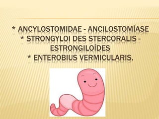 * ANCYLOSTOMIDAE - ANCILOSTOMÍASE
* STRONGYLOI DES STERCORALIS -
ESTRONGILOÍDES
* ENTEROBIUS VERMICULARIS.
 