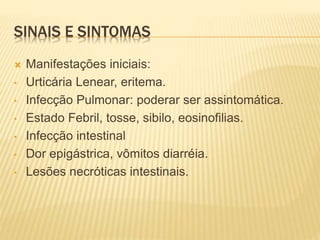 SINAIS E SINTOMAS
 Manifestações iniciais:
• Urticária Lenear, eritema.
• Infecção Pulmonar: poderar ser assintomática.
• Estado Febril, tosse, sibilo, eosinofilias.
• Infecção intestinal
• Dor epigástrica, vômitos diarréia.
• Lesões necróticas intestinais.
 