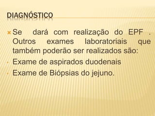 DIAGNÓSTICO
 Se dará com realização do EPF .
Outros exames laboratoriais que
também poderão ser realizados são:
• Exame de aspirados duodenais
• Exame de Biópsias do jejuno.
 
