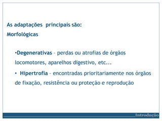 As adaptações principais são:
Morfológicas
•Degenerativas – perdas ou atrofias de órgãos
locomotores, aparelhos digestivo, etc...
• Hipertrofia – encontradas prioritariamente nos órgãos
de fixação, resistência ou proteção e reprodução
Introdução
 