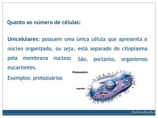 Unicelulares: possuem uma única célula que apresenta o
núcleo organizado, ou seja, está separado do citoplasma
São, portan...