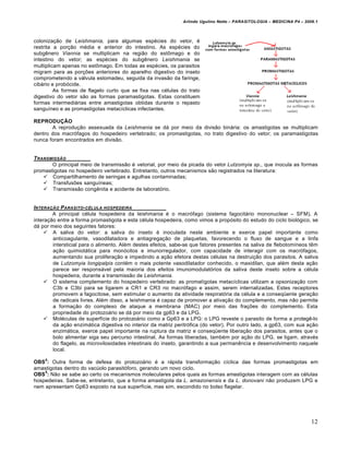 Arlindo Ugulino Netto – PARASITOLOGIA – MEDICINA P4 – 2009.1



coloniza€ƒo de Leishmania, para algumas esp•cies do vetor, •
restrita a por€ƒo m•dia e anterior do intestino. As esp•cies do
subg‚nero Viannia se multiplicam na regiƒo do estŠmago e do
intestino do vetor; as esp•cies do subg‚nero Leishmania se
multiplicam apenas no estŠmago. Em todas as esp•cies, os parasitos
migram para as por€„es anteriores do aparelho digestivo do inseto
comprometendo a v†lvula estomadeu, seguida da invasƒo da faringe,
cib†rio e prob…cide.
         As formas de flagelo curto que se fixa nas c•lulas do trato
digestivo do vetor sƒo as formas paramastigotas. Estas constituem
formas intermedi†rias entre amastigotas obtidas durante o repasto
sangu‡neo e as promastigotas metac‡clicas infectantes.

REPRODUÇÃO
       A reprodu€ƒo assexuada da Leishmania se d† por meio da divisƒo bin†ria: os amastigotas se multiplicam
dentro dos macr…fagos do hospedeiro vertebrado; os promastigotas, no trato digestivo do vetor; os paramastigotas
nunca foram encontrados em divisƒo.


T RANSMISSƒO
       O principal meio de transmissƒo • vetorial, por meio da picada do vetor Lutzomyia sp., que inocula as formas
promastigotas no hospedeiro vertebrado. Entretanto, outros mecanismos sƒo registrados na literatura:
     Compartilhamento de seringas e agulhas contaminadas;
     Transfus„es sangu‡neas;
     Transmissƒo cong‚nita e acidente de laborat…rio.


INTERA‚ƒO P ARASITO- C„LULA HOSPEDEIRA
        A principal c•lula hospedeira da leishmania • o macr…fago (sistema fagocit†rio mononuclear – SFM). A
intera€ƒo entre a forma promastigota e esta c•lula hospedeira, como vimos a prop…sito do estudo do ciclo biol…gico, se
d† por meio dos seguintes fatores:
      A saliva do vetor: a saliva do inseto • inoculada neste ambiente e exerce papel importante como
        anticoagulante, vasodilatadora e antiagrega€ƒo de plaquetas, favorecendo o fluxo de sangue e a linfa
        intersticial para o alimento. Al•m destes efeitos, sabe-se que fatores presentes na saliva de flebotom‡neos t‚m
        a€ƒo quimiot†tica para mon…citos e imunorregulador, com capacidade de interagir com os macr…fagos,
        aumentando sua prolifera€ƒo e impedindo a a€ƒo efetora destas c•lulas na destrui€ƒo dos parasitos. A saliva
        de Lutzomyia longipalpis cont•m o mais potente vasodilatador conhecido, o maxidilan, que al•m desta a€ƒo
        parece ser respons†vel pela maioria dos efeitos imunomodulat…rios da saliva deste inseto sobre a c•lula
        hospedeira, durante a transmissƒo de Leishmania.
      O sistema complemento do hospedeiro vertebrado: as promat‡gotas metac‡clicas utilizam a opsoniza€ƒo com
        C3b e C3bi para se ligarem a CR1 e CR3 no macr…fago e assim, serem internalizadas. Estes receptores
        promovem a fagocitose, sem estimular o aumento da atividade respirat…ria da c•lula e a conseqŽente gera€ƒo
        de radicais livres. Al•m disso, a leishmania • capaz de promover a ativa€ƒo do complemento, mas nƒo permite
        a forma€ƒo do complexo de ataque a membrana (MAC) por meio das fra€„es do complemento. Esta
        propriedade do protozo†rio se d† por meio da gp63 e da LPG.
      Mol•culas de superf‡cie do protozo†rio como a Gp63 e a LPG: o LPG reveste o parasito de forma a proteg‚-lo
        da a€ƒo enzim†tica digestiva no interior da matriz peritr…fica (do vetor). Por outro lado, a gp63, com sua a€ƒo
        enzim†tica, exerce papel importante na ruptura da matriz e conseqŽente libera€ƒo dos parasitos, antes que o
        bolo alimentar siga seu percurso intestinal. As formas liberadas, tamb•m por a€ƒo do LPG, se ligam, atrav•s
        do flagelo, as microvilosidades intestinais do inseto, garantindo a sua perman‚ncia e desenvolvimento naquele
        local.
    4
OBS : Outra forma de defesa do protozo†rio • a r†pida transforma€ƒo c‡clica das formas promastigotas em
amastigotas dentro do vac‹olo parasit…foro, gerando um novo ciclo.
    5
OBS : Nƒo se sabe ao certo os mecanismos moleculares pelos quais as formas amastigotas interagem com as c•lulas
hospedeiras. Sabe-se, entretanto, que a forma amastigota da L. amazonensis e da L. donovani nƒo produzem LPG e
nem apresentam Gp63 exposto na sua superf‡cie, mas sim, escondido no bolso flagelar.




                                                                                                                       12
 